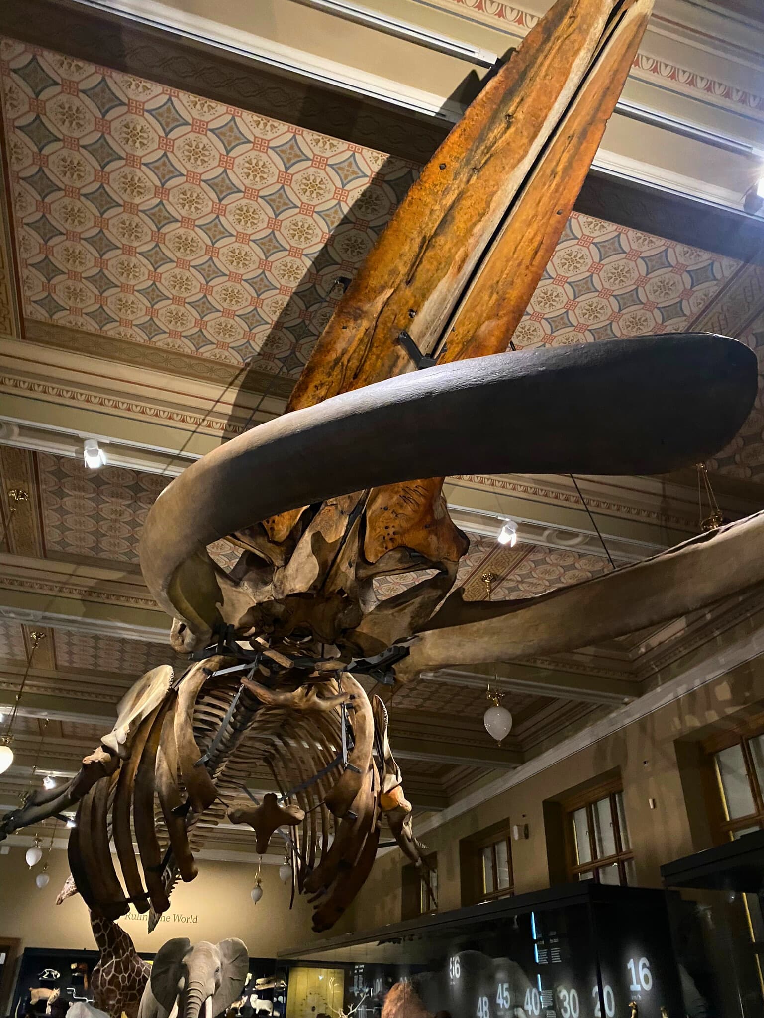12. Národní Muzeum / Prag Ulusal Müze 1